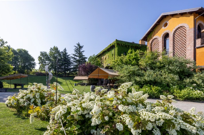Garden and vineyard terrace at Villa Sparina.