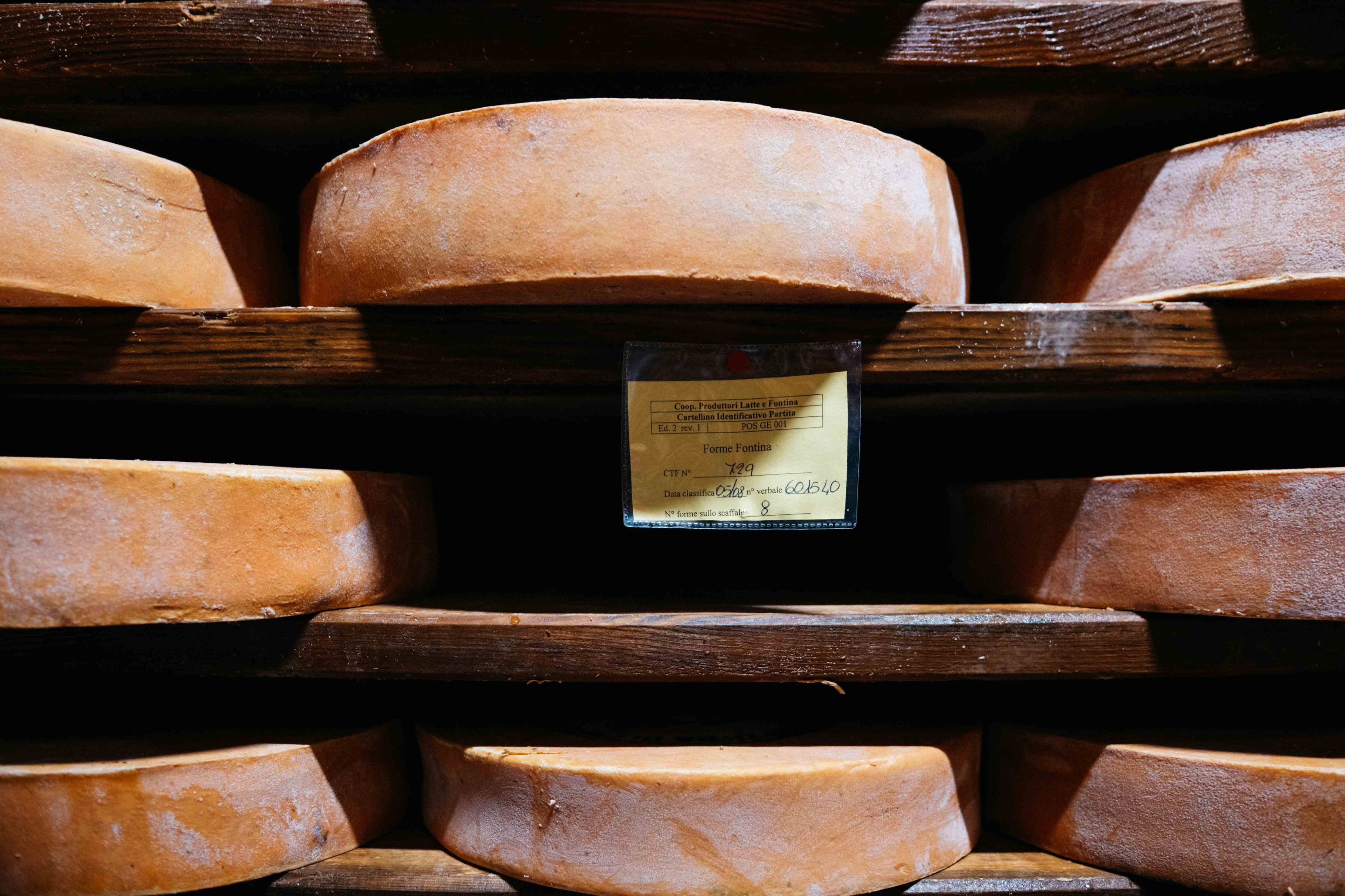 Wheels of Fontina DOP mature on wooden shelves in the Aosta Valley. Photo by Inbal Cabiri.