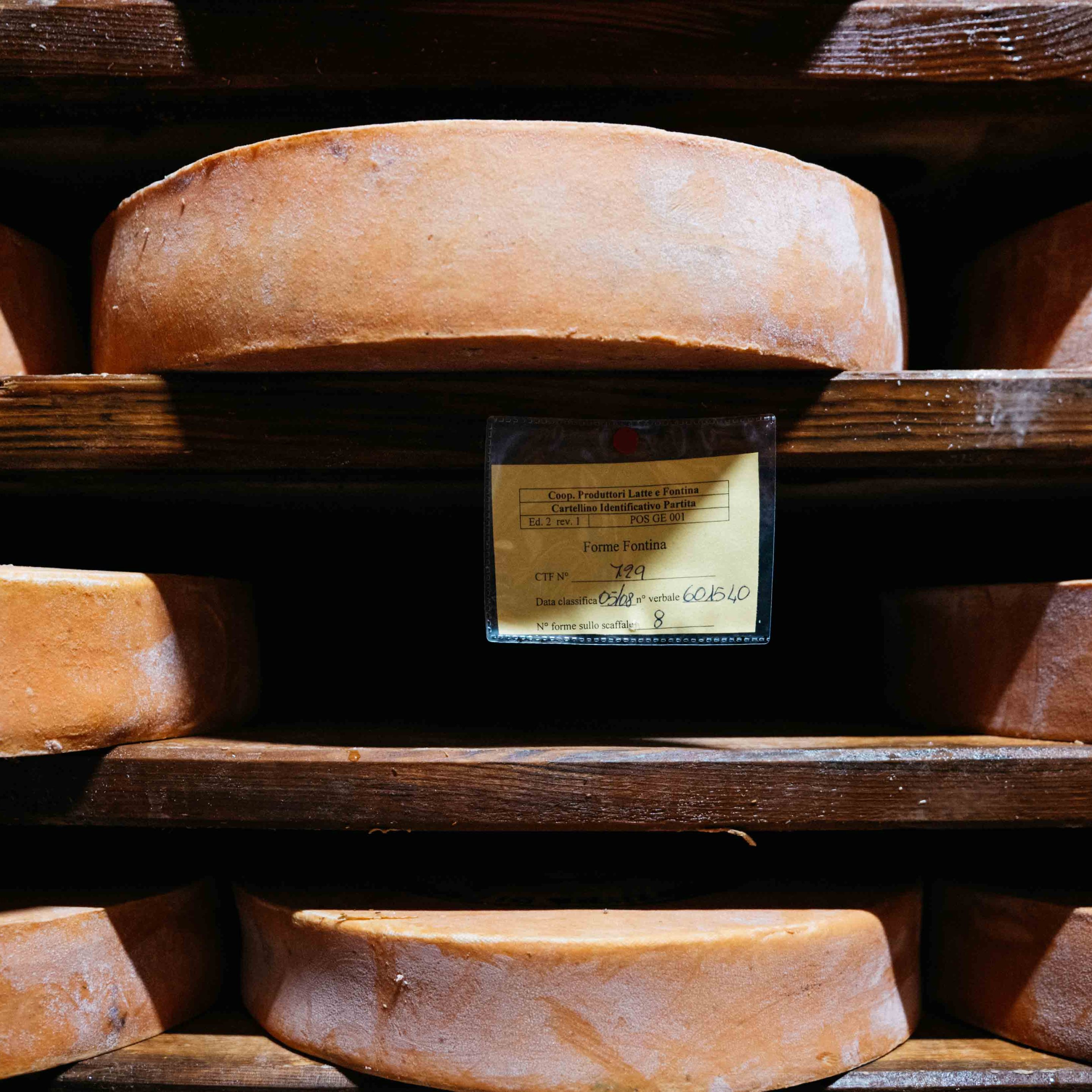 Wheels of Fontina DOP mature on wooden shelves in the Aosta Valley. Photo by Inbal Cabiri.