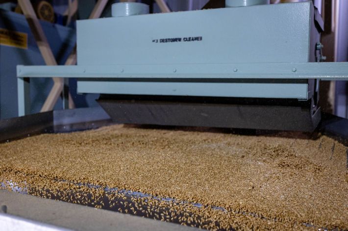Wheat moves through the production process at Sunnyland Mills. Photo by Patty Schmidt.