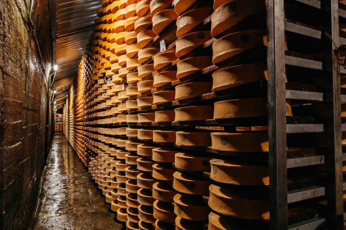 Thousands of Fontina wheels line the cool mountain aging cellars. Photo by Inbal Cabiri.
