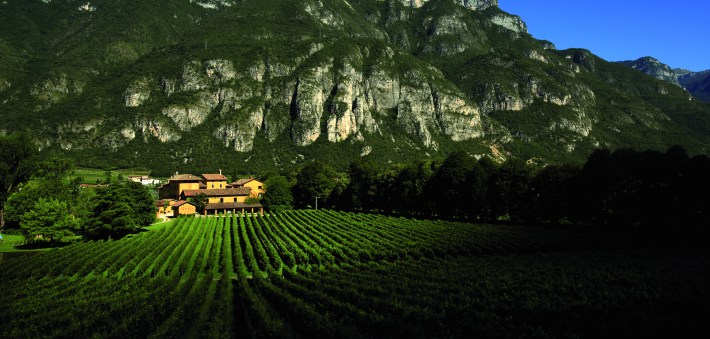 A view from the vineyards of the San Leonardo estate.