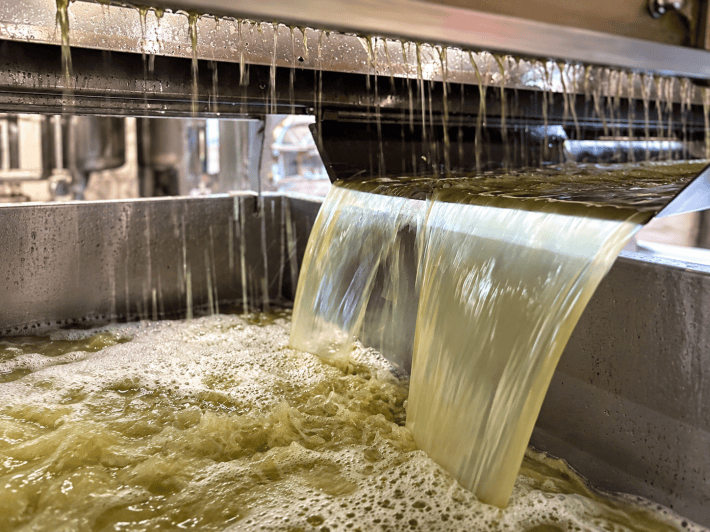 Winemaking in progress at La Masserie. Photo credit: La Masserie