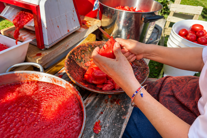 Hands handling a tomato beside bowls of tomatoes and tomato puree