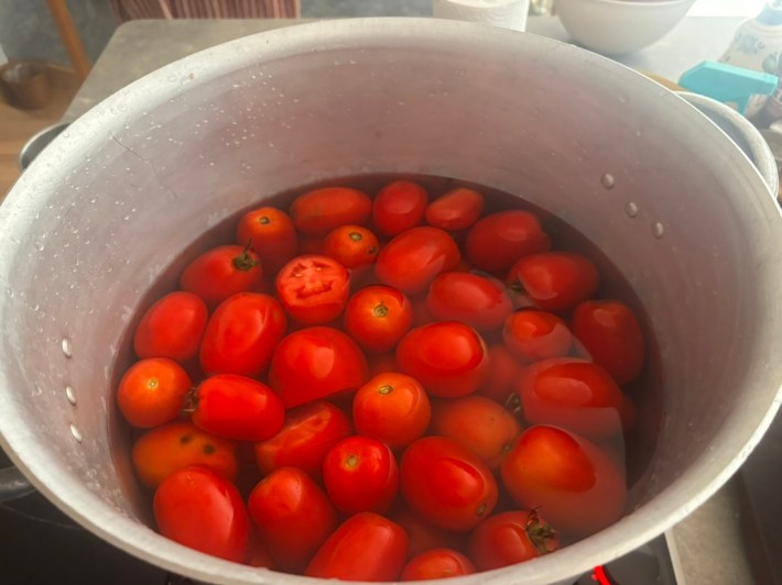 Whole red tomatoes in water inside a large metal pot