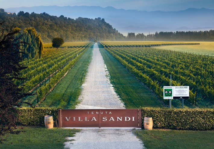 A gravel lane runs between vineyard rows behind the Tenuta Villa Sandi entrance gate.