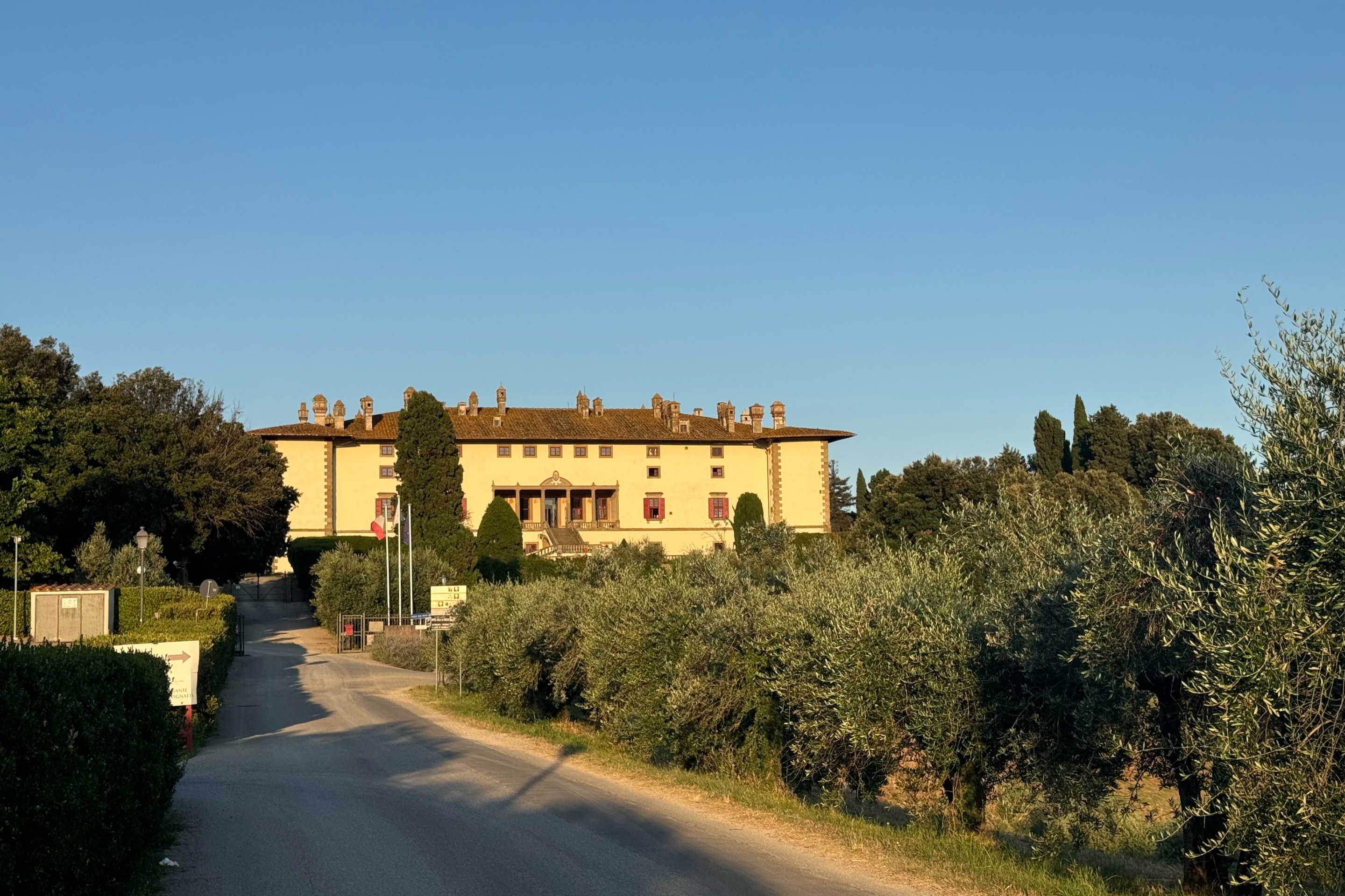Olive trees line the road leading to Villa Medici La Ferdinanda