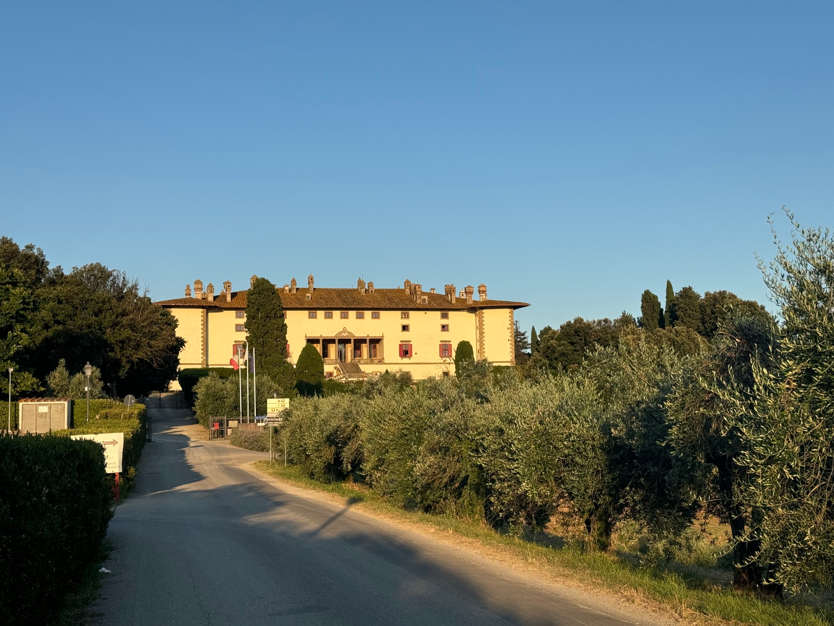 Olive trees line the road leading to Villa Medici La Ferdinanda