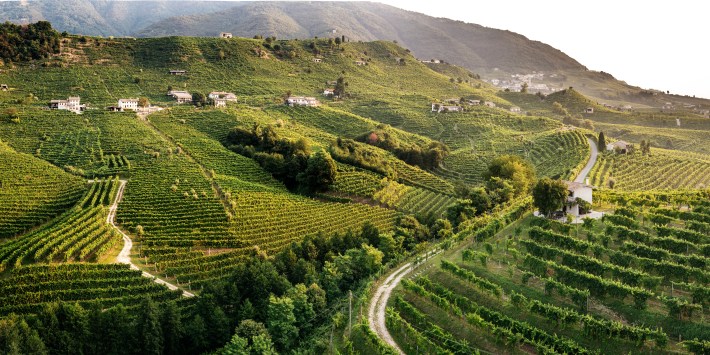 Panoramic view of Cartizze’s vineyard-covered hills