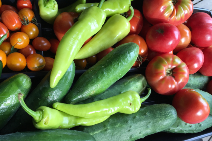 Harvested tomatoes, green peppers and cucumbers in a tray.